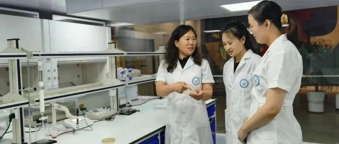 这个馒头不一般！科技成果落地成金